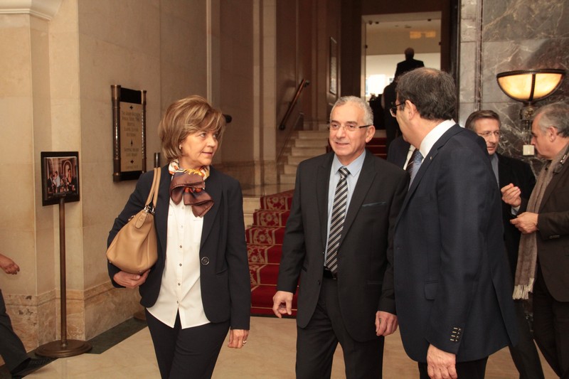 Launching Ain Wazein Medical Village